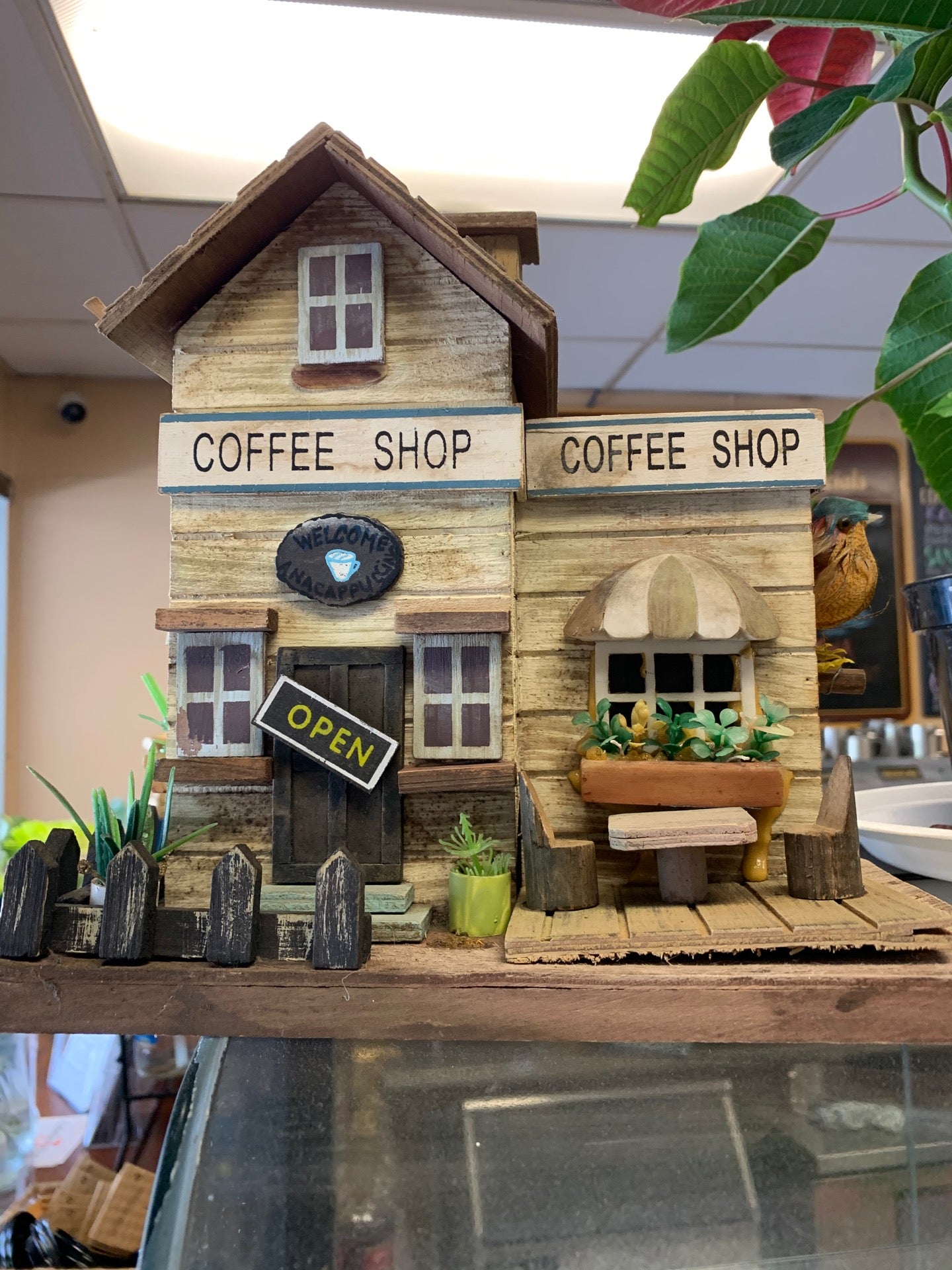 Anacappuccino Limited