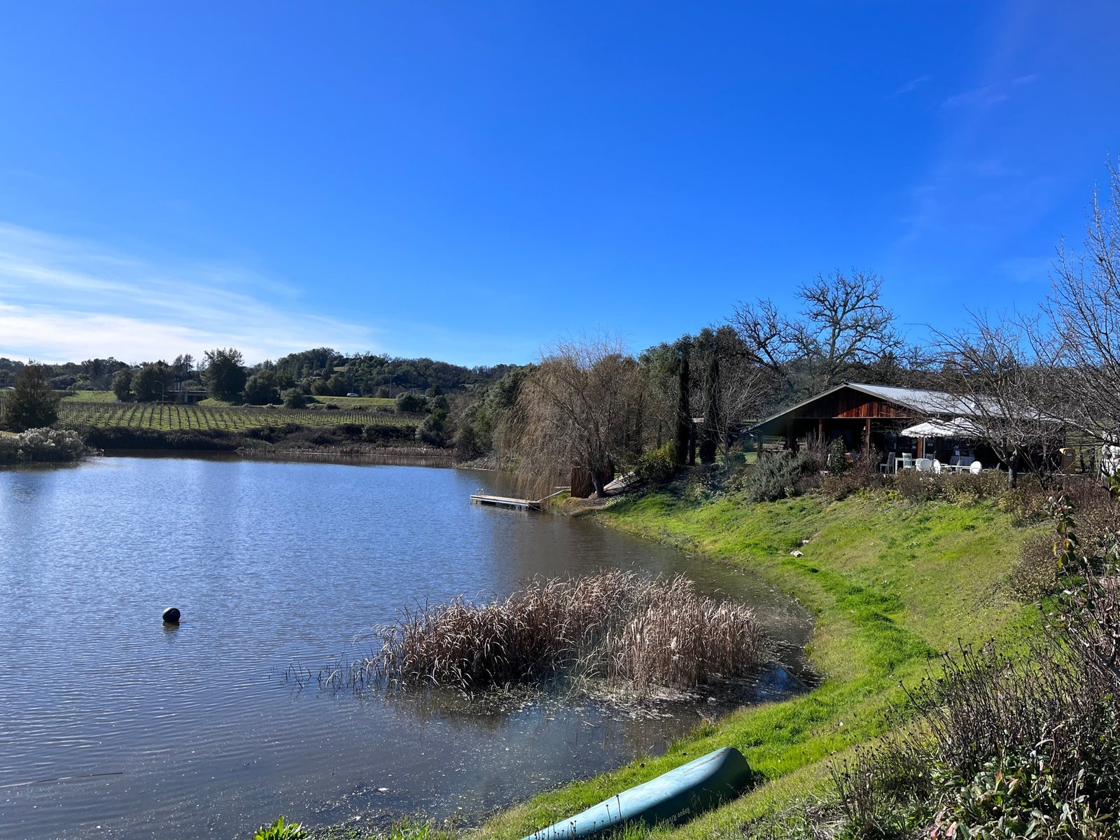 Testa Vineyards