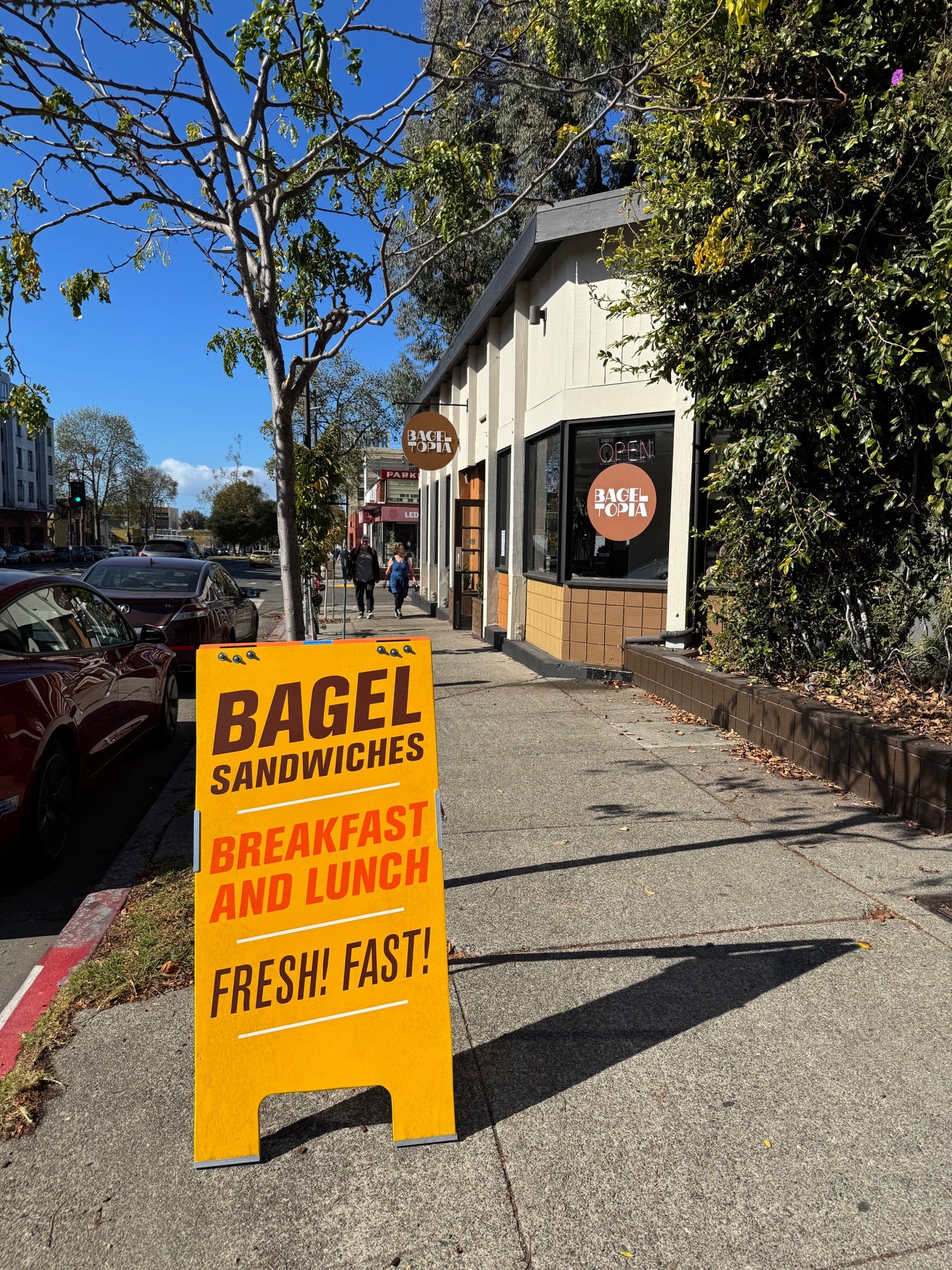 Bageltopia