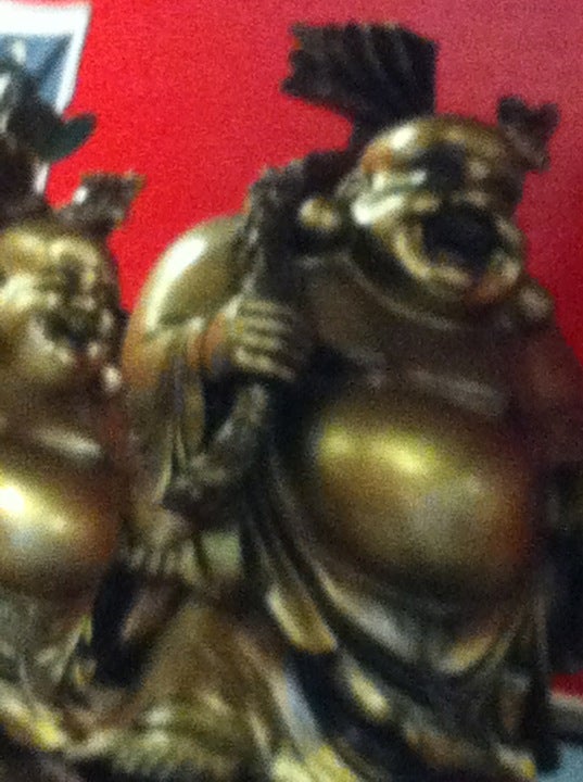 Wok N Roll
