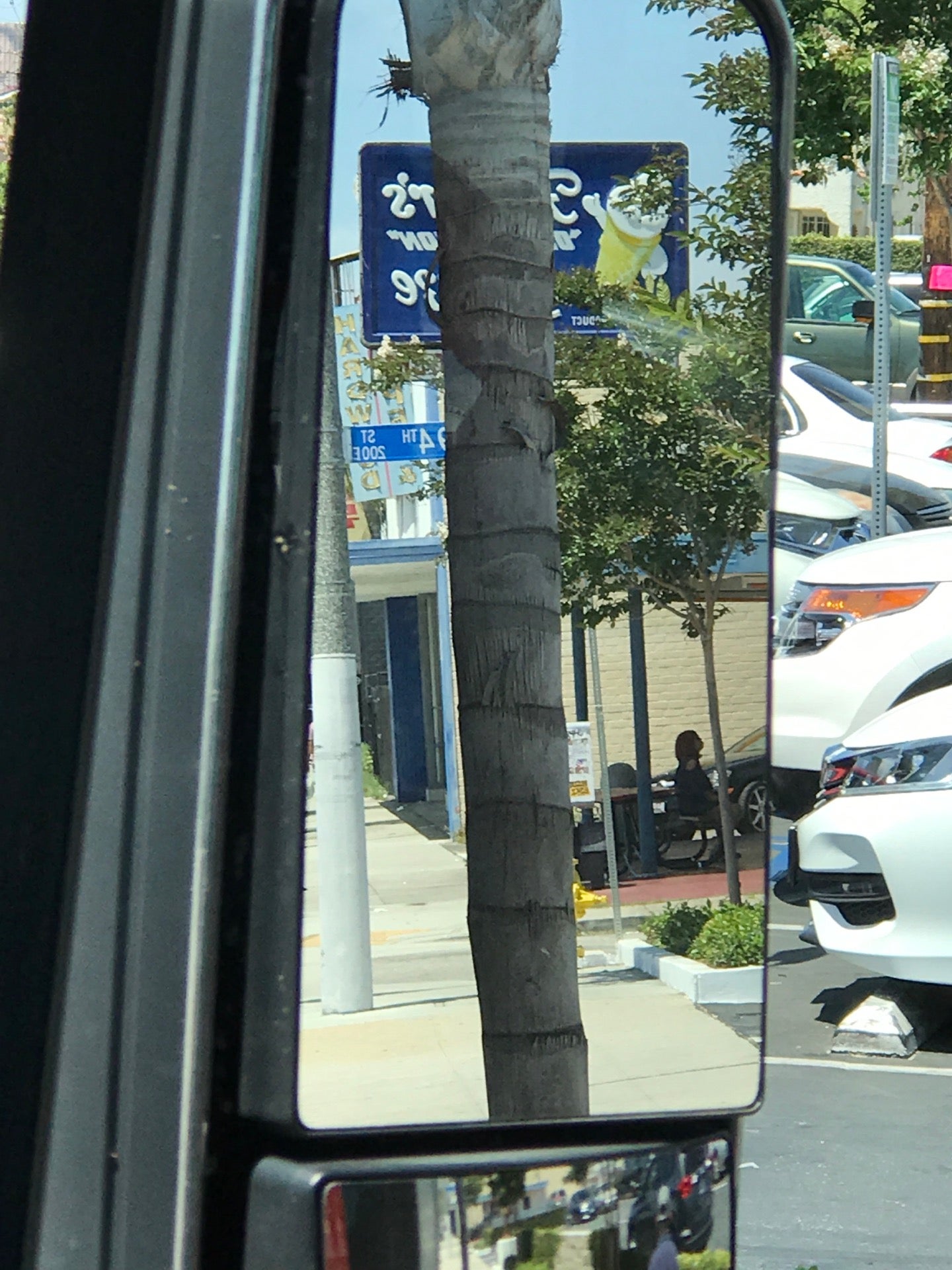 Fosters Freeze