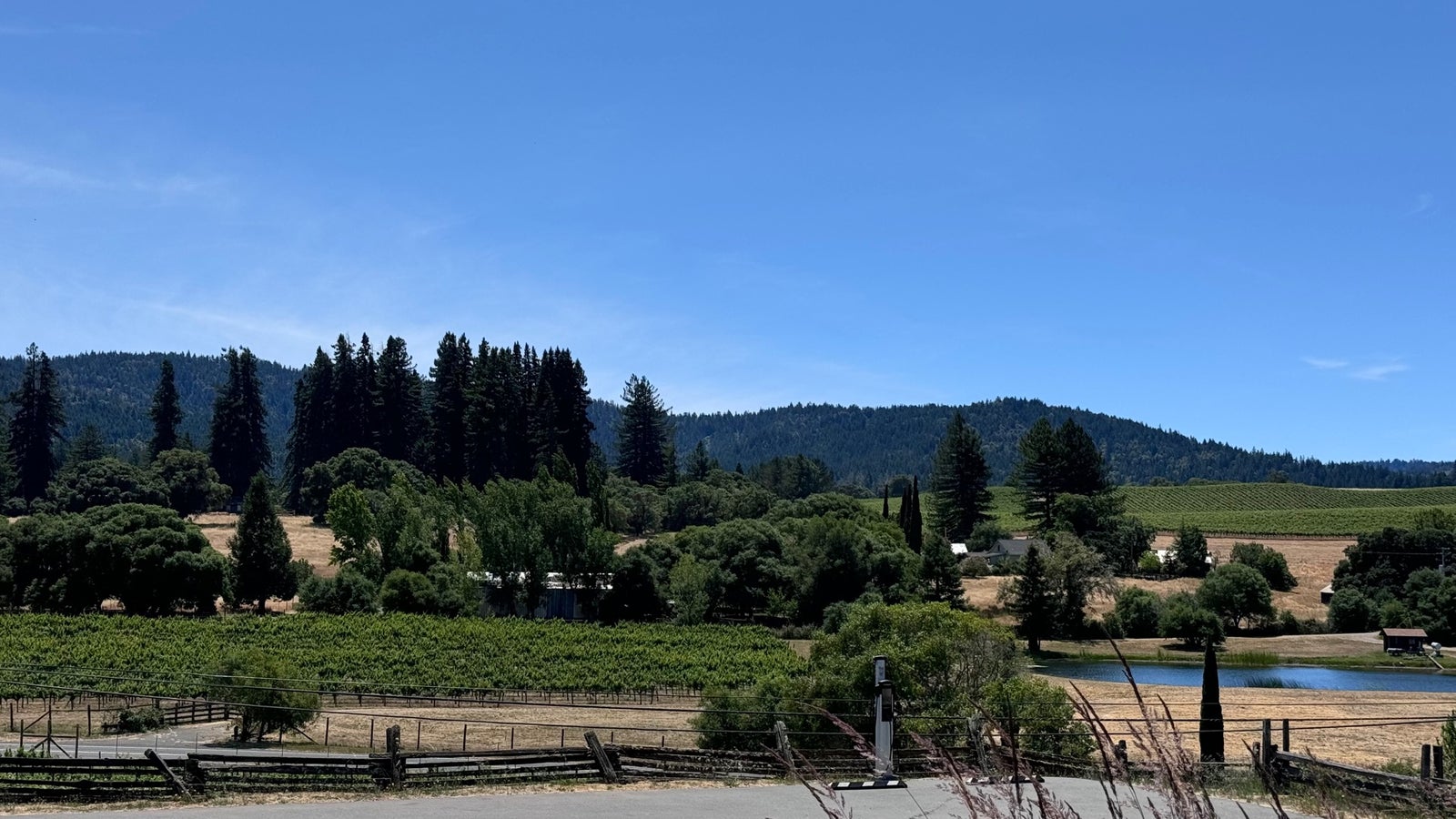 Handley Cellars