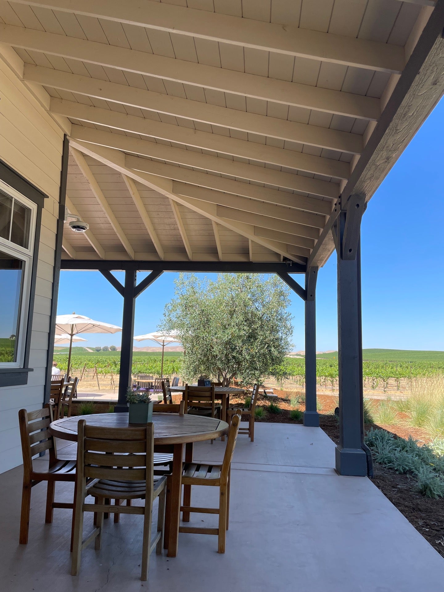 J Lohr Vineyards & Wines