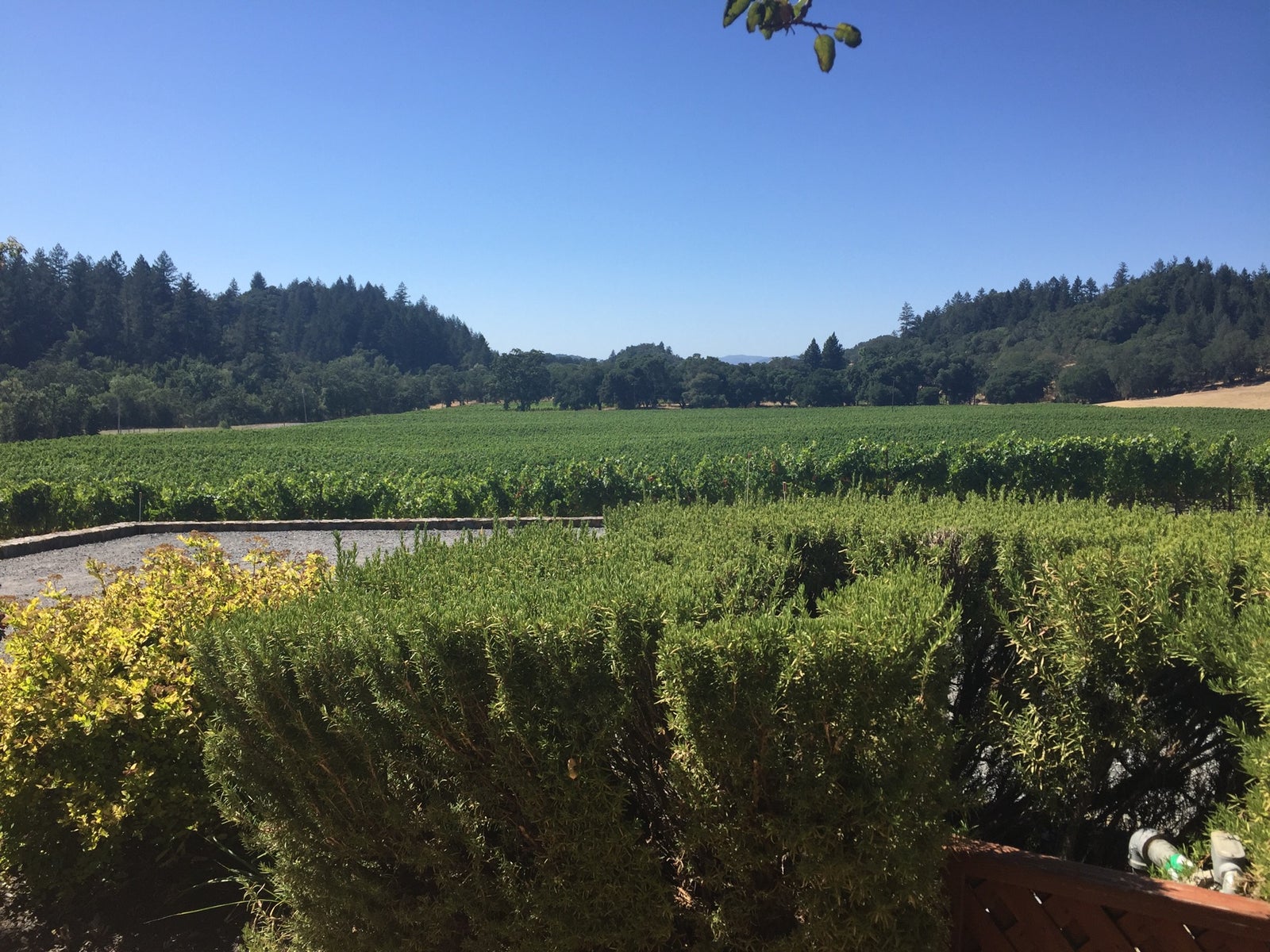 Verite Winery