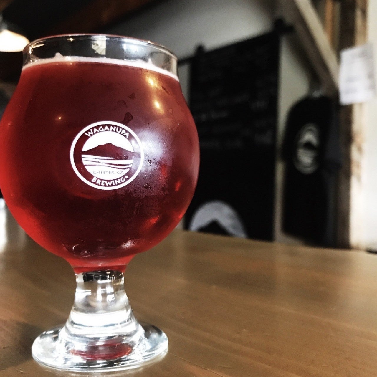 Waganupa Brewing