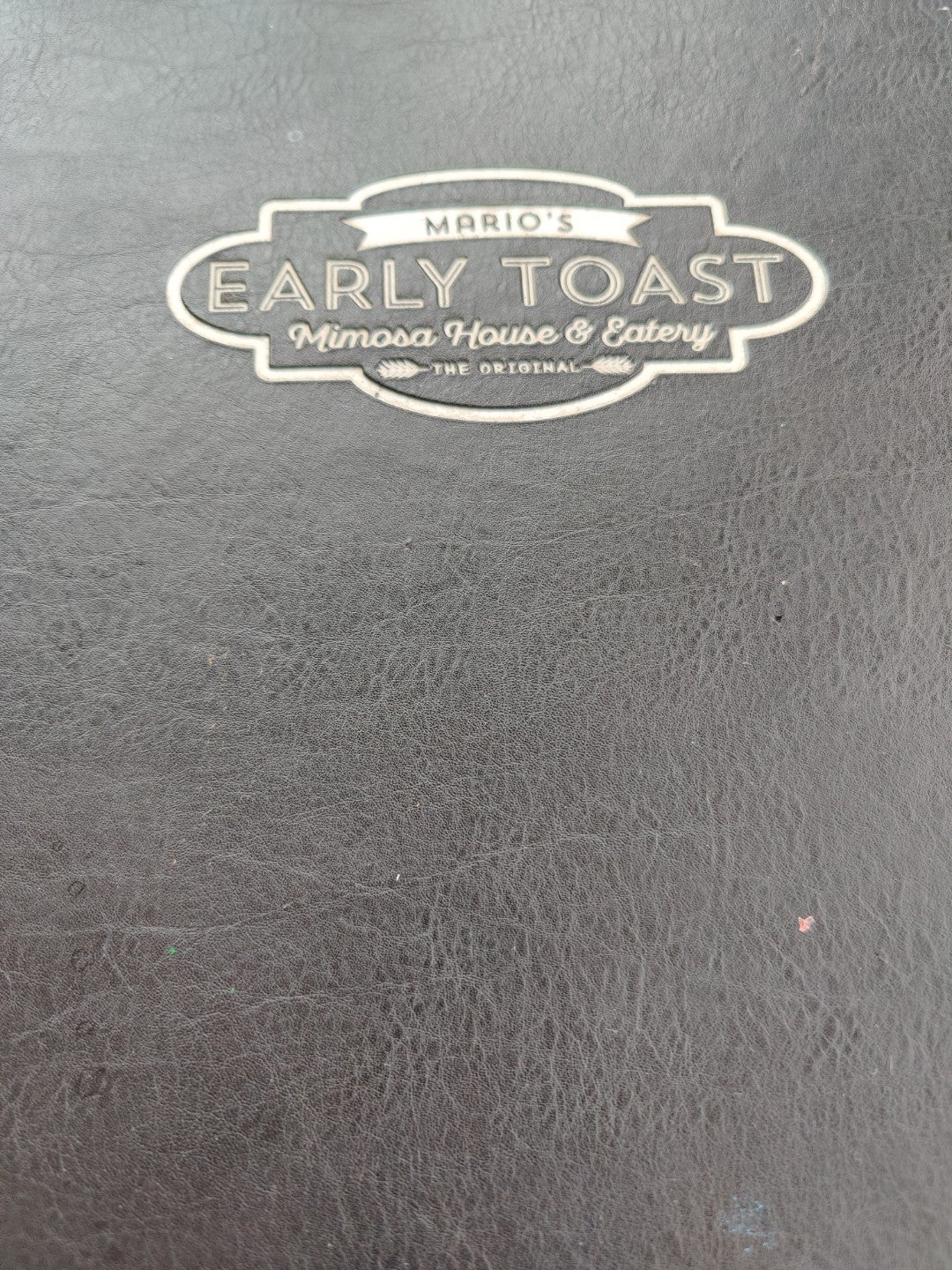 Mario's Early Toast