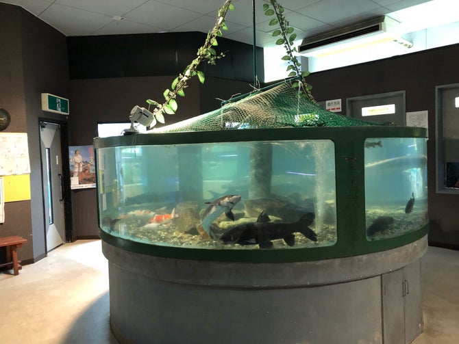 高千穂峡淡水魚水族館 こころから 高千穂峡淡水魚水族館 こころから