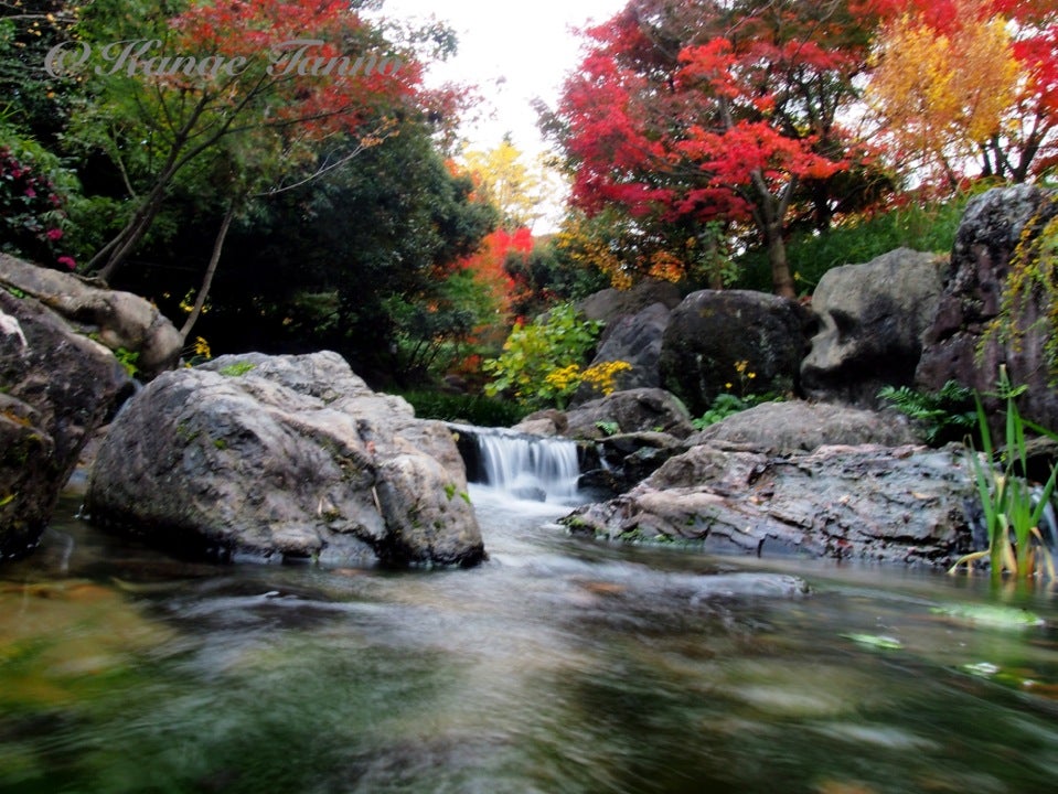 名古屋紅葉 秋天賞楓趣 不只名古屋 一次網羅愛知縣及日本中部楓葉名所 Compathy Travel Magazine線上日本旅遊雜誌