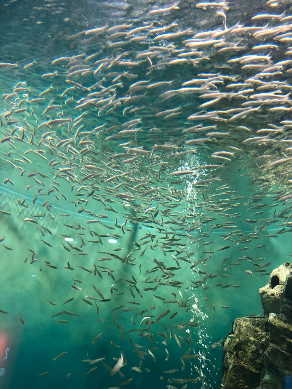 滋賀景點 除了介紹琵琶湖以外 推薦你附近必去景點 還有世界遺產等著你喔 Compathy Travel Magazine線上日本旅遊雜誌 Part 2