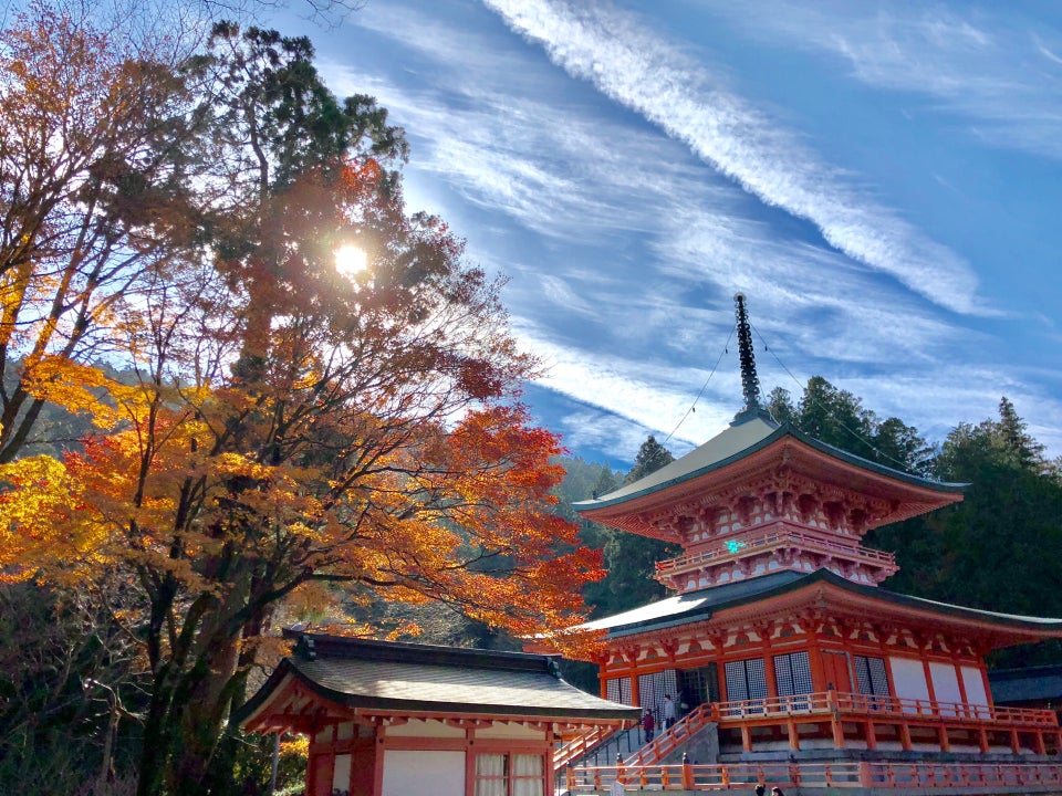 滋賀景點 除了介紹琵琶湖以外 推薦你附近必去景點 還有世界遺產等著你喔 Compathy Travel Magazine線上日本旅遊雜誌