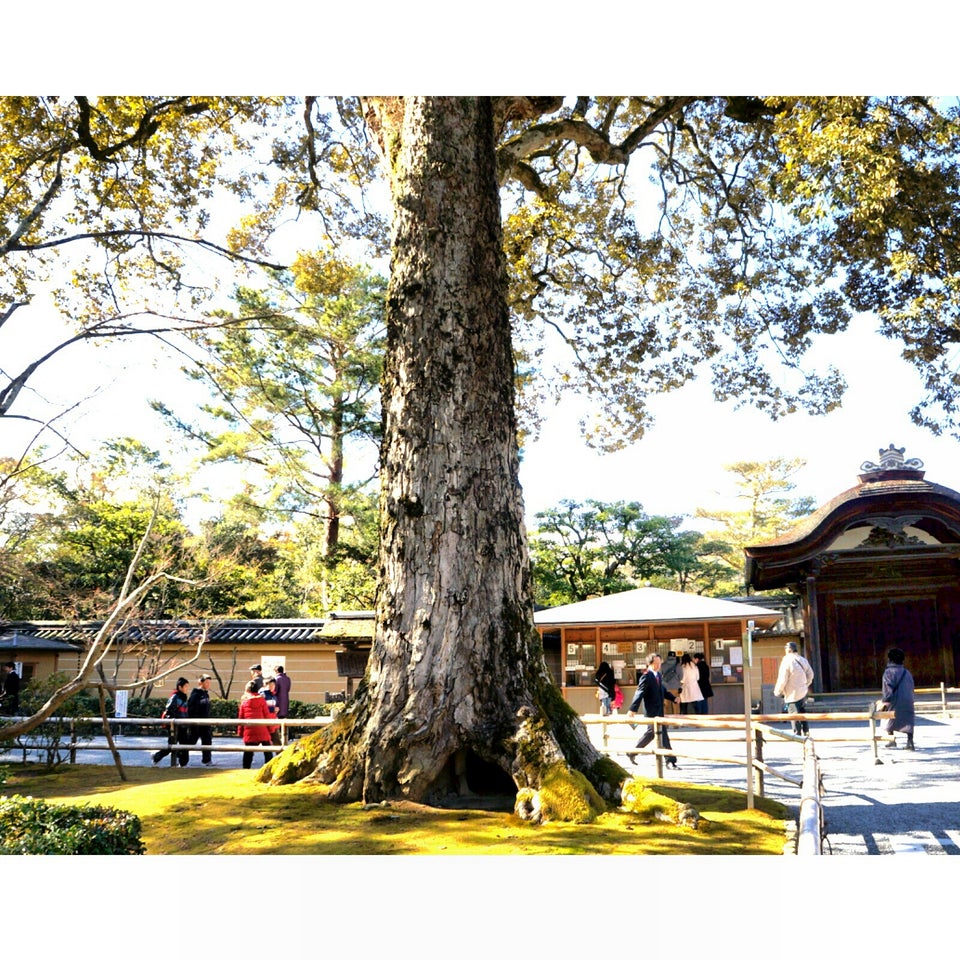 你所知道的和不知道的金閣寺-「從金閣寺到鹿苑寺、北山第到西園寺」上篇-地理篇-現在的金閣 | 阿部就很寬的童言童語 | 休閒旅遊分享 | 痞客 ...