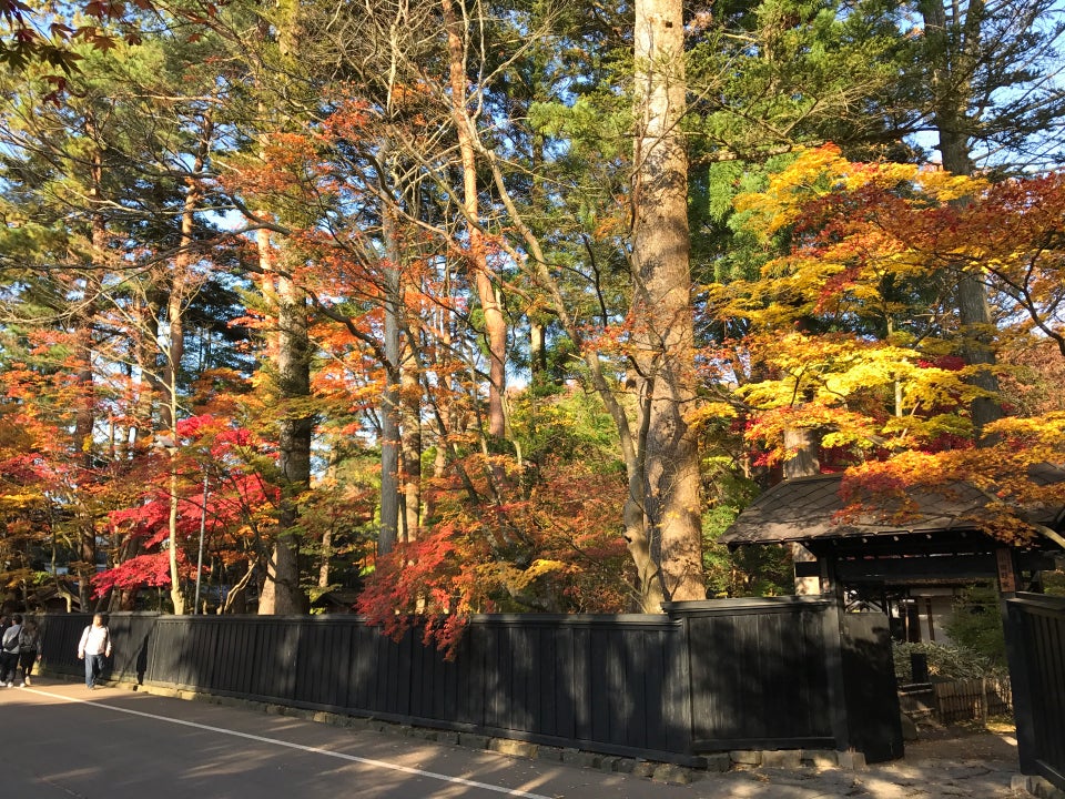 日本東北賞楓 秋意濃濃 紅葉秘境景點不藏私通通報你知 Compathy Travel Magazine線上日本旅遊雜誌