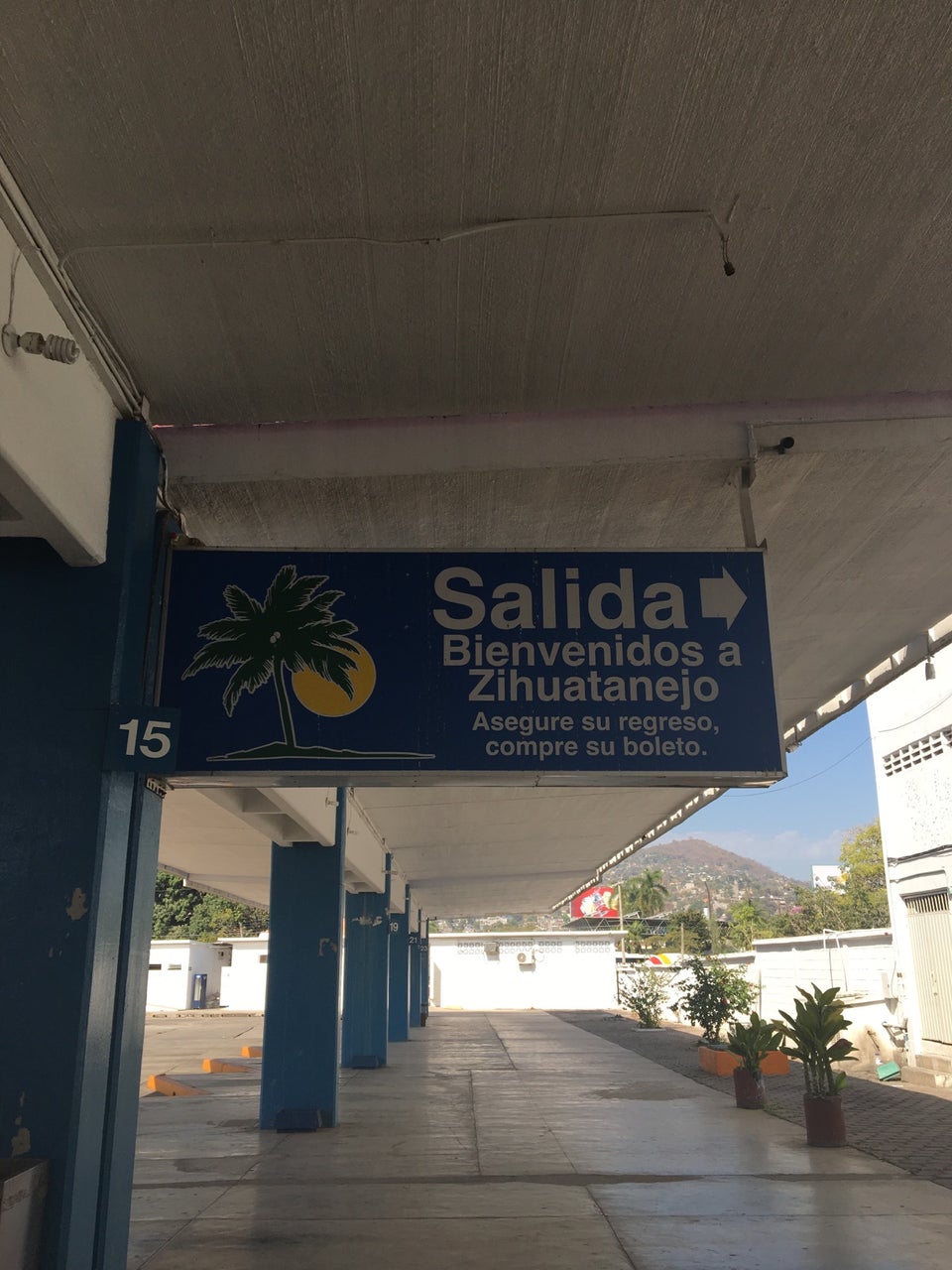 CENTRAL DE AUTOBUSES DE ZIHUATANEJO CONVERTIDA EN NIDO DE PÁJAROS; FALTA DE HIGIENE EN BAÑOS Y CENTRAL DE AUTOBUSES DE ZIHUATANEJO CONVERTIDA EN NIDO DE PÁJAROS; FALTA DE HIGIENE EN BAÑOS Y