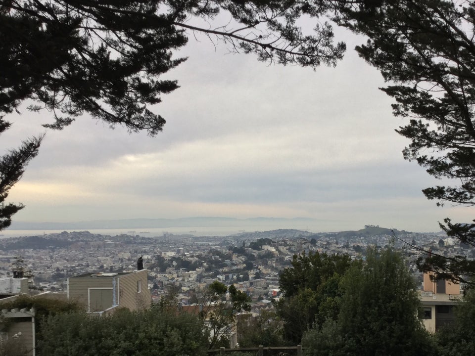 Trees on either side of a view of the East Bay, overcast sky, looking down from Mount Olympus.