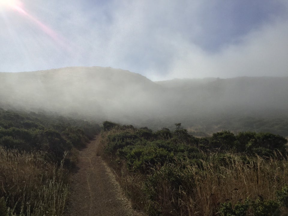 Single track uphill trail between bushes disappearing into fog, partially obscured hills in the distance