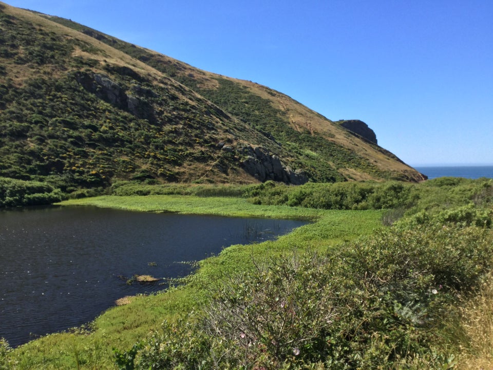 Lagoon ringed with green, amber hill behind it dotted with bushes, Pacific ocean in the distance