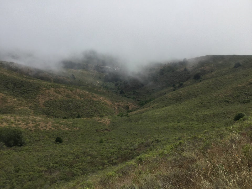 Miwok cut-off view of green hills down to Tennessee Valley shrouded in fog.