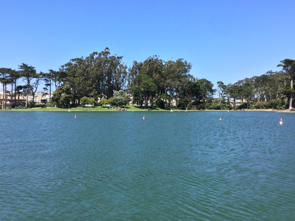 Spreckels lake glinting blue green, with trees on the far shore and a clear blue sky above.