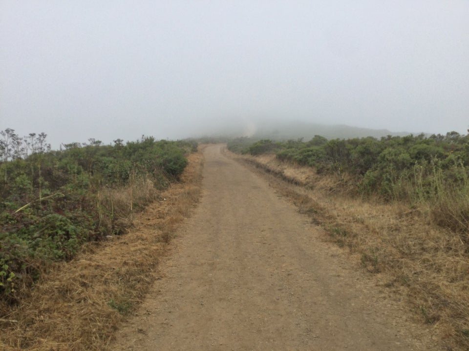 Looking up Fox trail disappearing into the fog