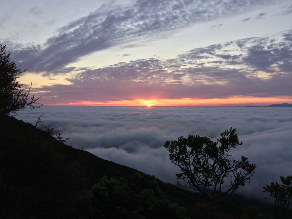 The sun rising just above the low clouds, with the Mount Tam ridge and nearby trees backlit in the foreground