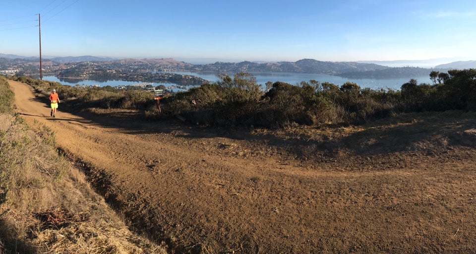 Tantek in the distance power-hiking up Alta trail, with the bay, Tiburon, and the East Bay behind him under a clear sky.