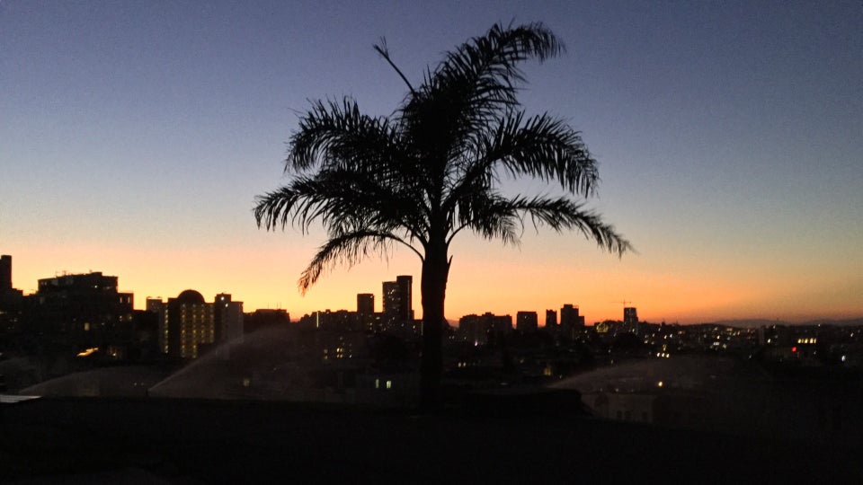 10 minutes before the previous photo. Again a palmtree with a cityscape behind it backlit by the orange glow of dawn, sprinklers on the lawns just behind the tree, in Alta Plaza Park.