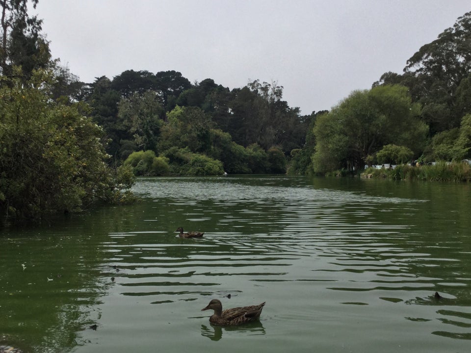 Stow lake with trees on the sides, a duck with its reflection in the foreground, and the island in the middle.