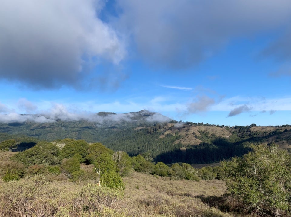 Mount Tam with green hills under a mostly blue sky with a few ominous grey / dark grey clouds, light green bushes in the foreground on Dias Ridge.