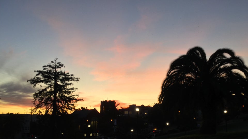 A tall pine tree on the left, large palm tree on the right, blue pink purple orange yellow dawn sky backlighting them and buildings on Dolores street, still in darkness, dotted with lit streetlamps.