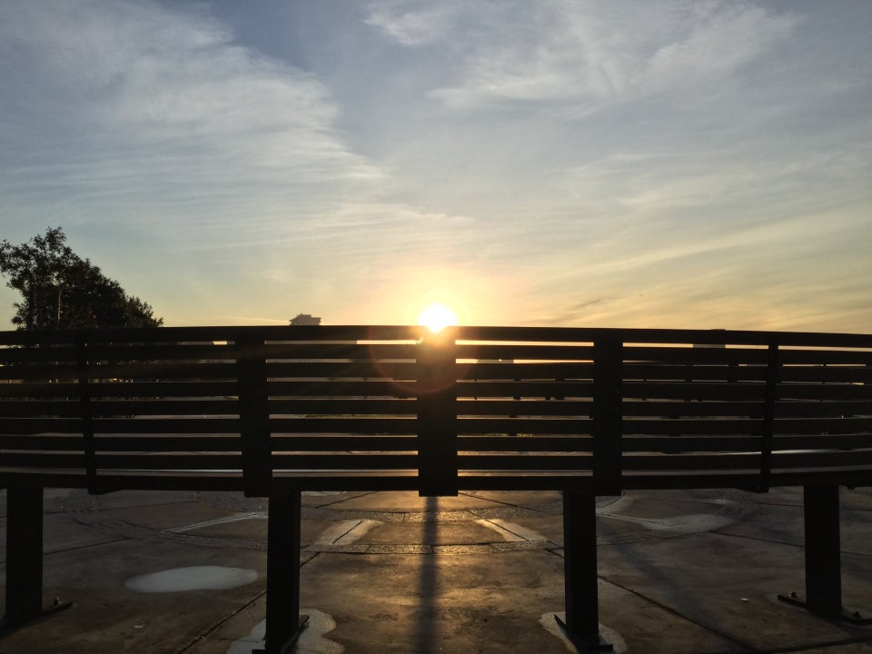 Clear morning sky with a few hazy clouds, sun rising just above a seating structure outdoors, backlit, at Alta Plaza park with the tops of a couple of trees visible to the left.