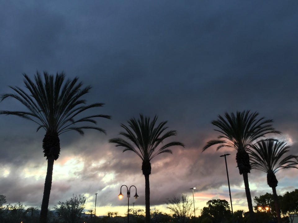 Dark clouds above pink orange grey clouds with bits of blue sky poking through down to a yellow horizon just after sunset, backlighting four tall palm trees, a few street lamps, a row of shorter trees below them, with bits of a distant mountain visible behind them on the left.