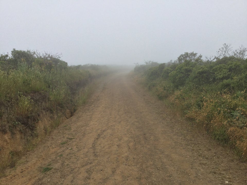 Looking back down Fox trail as it disappears into the fog