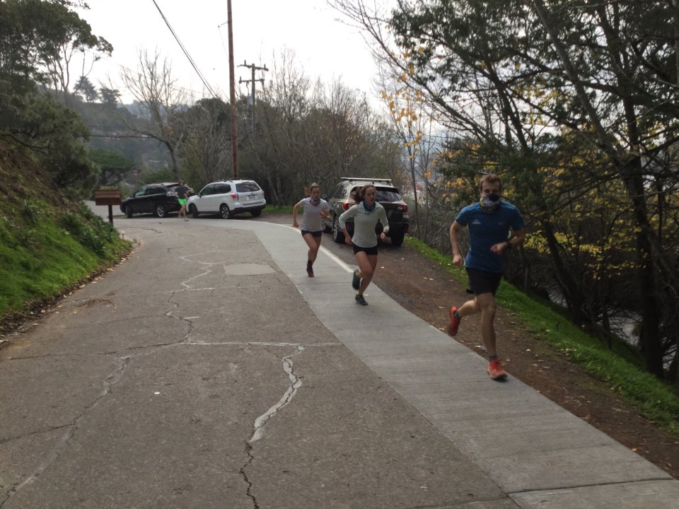 Nick, Emma, Olivia, and Paddy running up the first stretch of road of the Mt Tam climb.