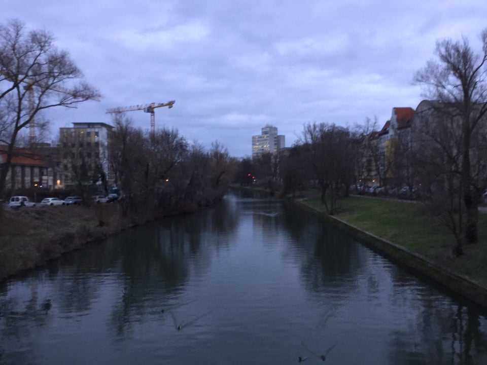 Overcast sky over a canal, leafless trees and buildings on both sides, grassy green angled shores of the canal, a few ducks swimming slowly forward towards the observer, leaving wakes in the water.