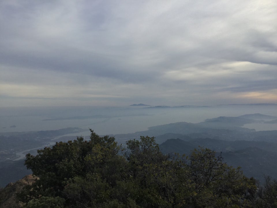 Hazy view of the bay looking east from Mount Tam’s East Peak, bushes in the foregrount, Mount Diablo peaks poking up through the fog.
