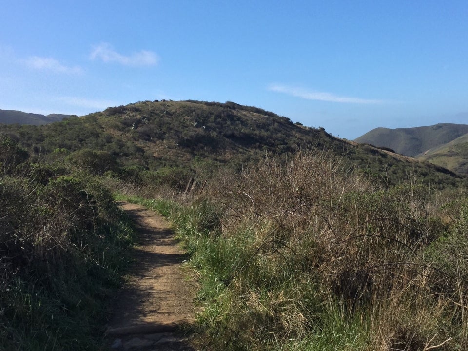 Blue sky with a few scattered clouds above rolling hills, a single-track dirt trail winding its way forward between grass and bushes.