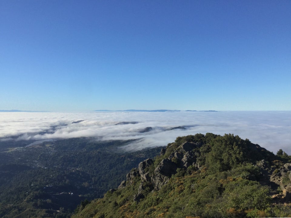 Facing South from Mount Tam, San Francisco covered in fog except for the top of Sutro Tower poking through