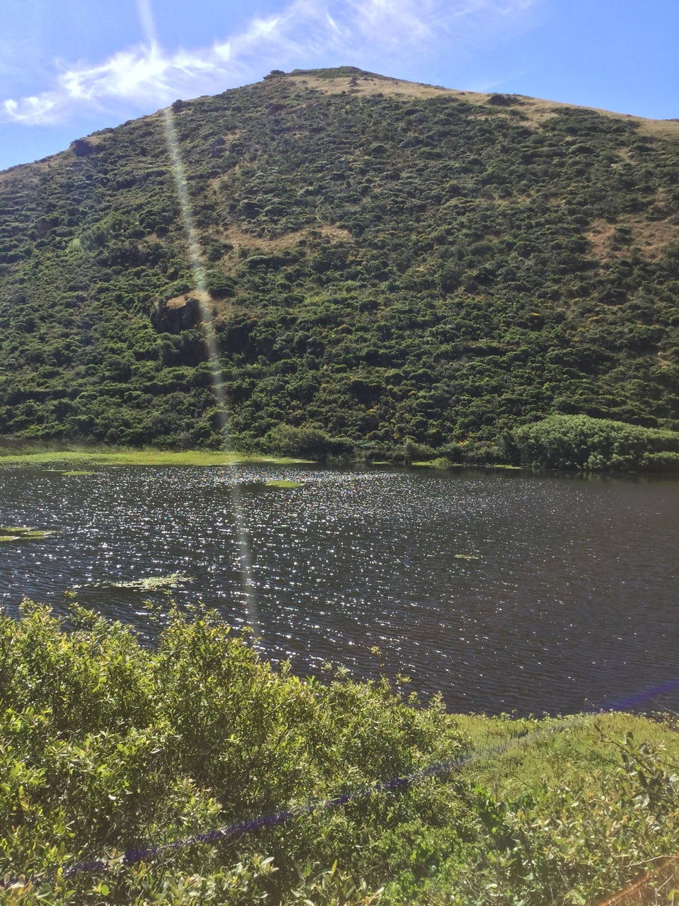 Sunlight glistening on a lagoon, light green bushes in the foreground, dark green bushes on the hill in the back