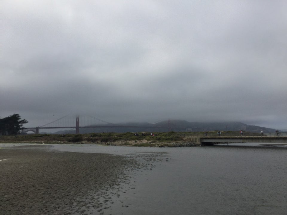Golden Gate Bridge viewed from Crissy Field Marsh in the foreground, the sky a mottled grey mix of fog and clouds.