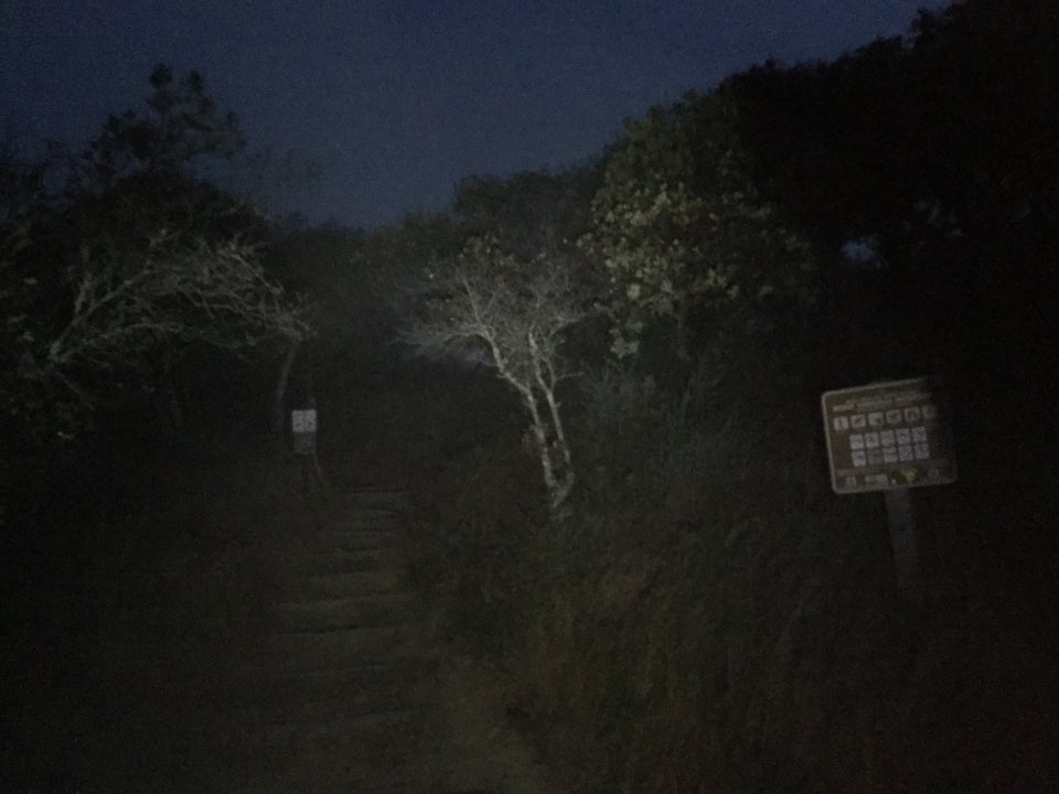 Start of Temelpa trail, in the dark, lit unevenly by a headlamp