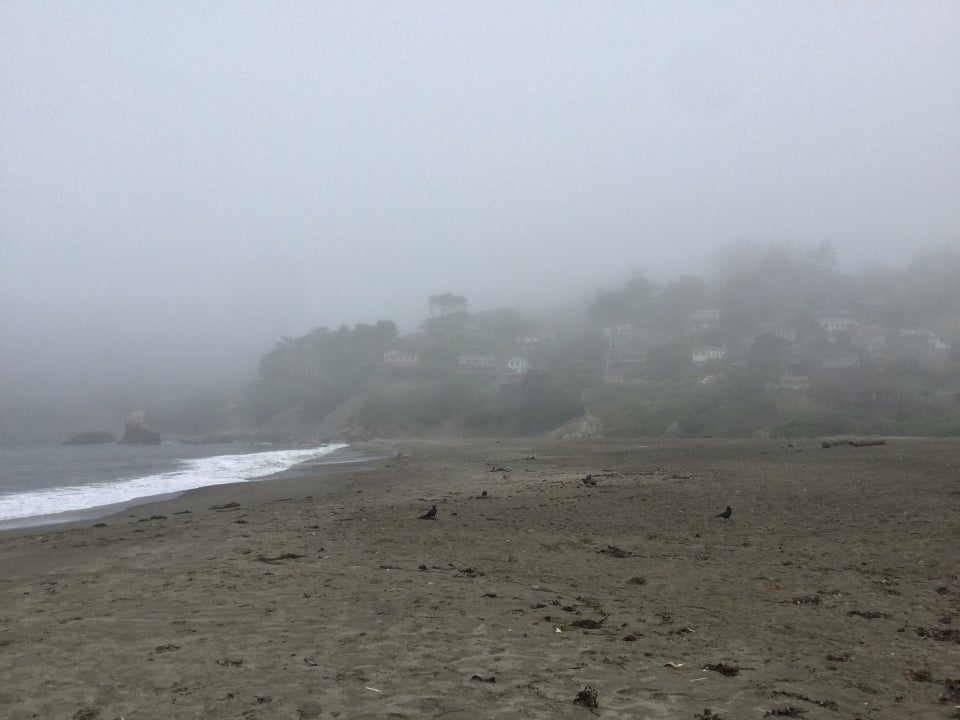 Muir beach facing north, fog obscuring the houses onthe hill.