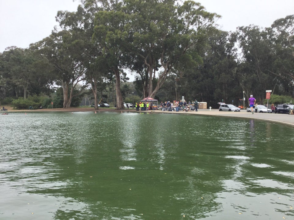 Spreckels Lake with green water, a few radio controlled model boats, and eucalyptus trees on the opposite shore