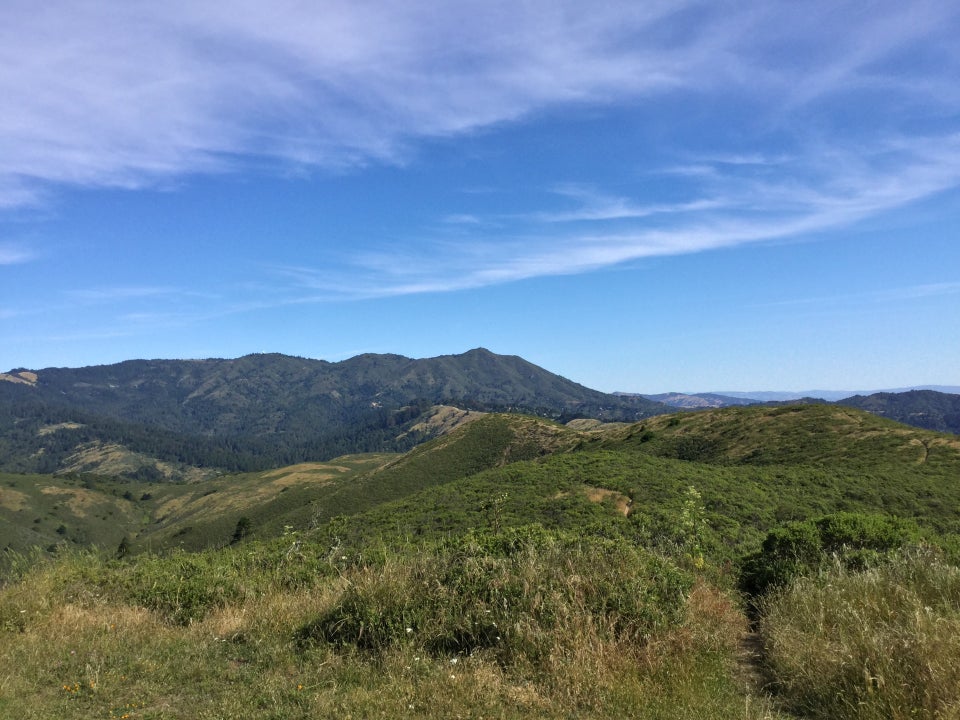 View from Coyote Ridge of Mt Tam under a blue sky