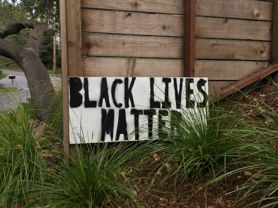 Handpainted Black Lives Matter sign, black paint on a white background, leaning against a wooden fence, a few tall green grasses overlapping part of it.