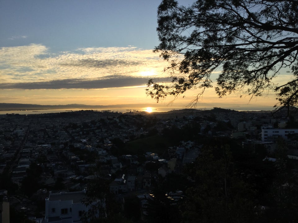 Sunrise visible through clouds, and reflected off the bay, backlighting a nearby tree, San Francisco buildings below in the dark viewed from Tank Hill