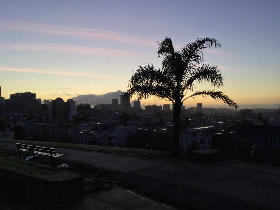 Three wide but thin wipsy cotton candy colored clouds streaking left to right across the dawn sky with a gradient from medium blue to light blue, yellow, an orange, above the tops of San Francisco buildings in the distance, a partially lit bench on a path and backlit palmtree in front.