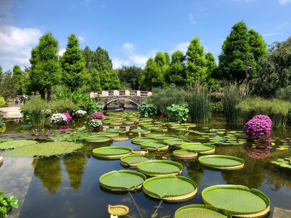 水生植物公園みずの森 こころから 水生植物公園みずの森 こころから