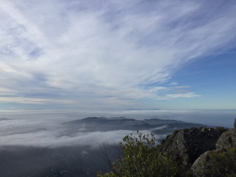 Thin stretched clouds drape across a partly blue sky, over a fog covered San Francisco in the distance, hills and clouds below, a bush and few boulders in the foreground