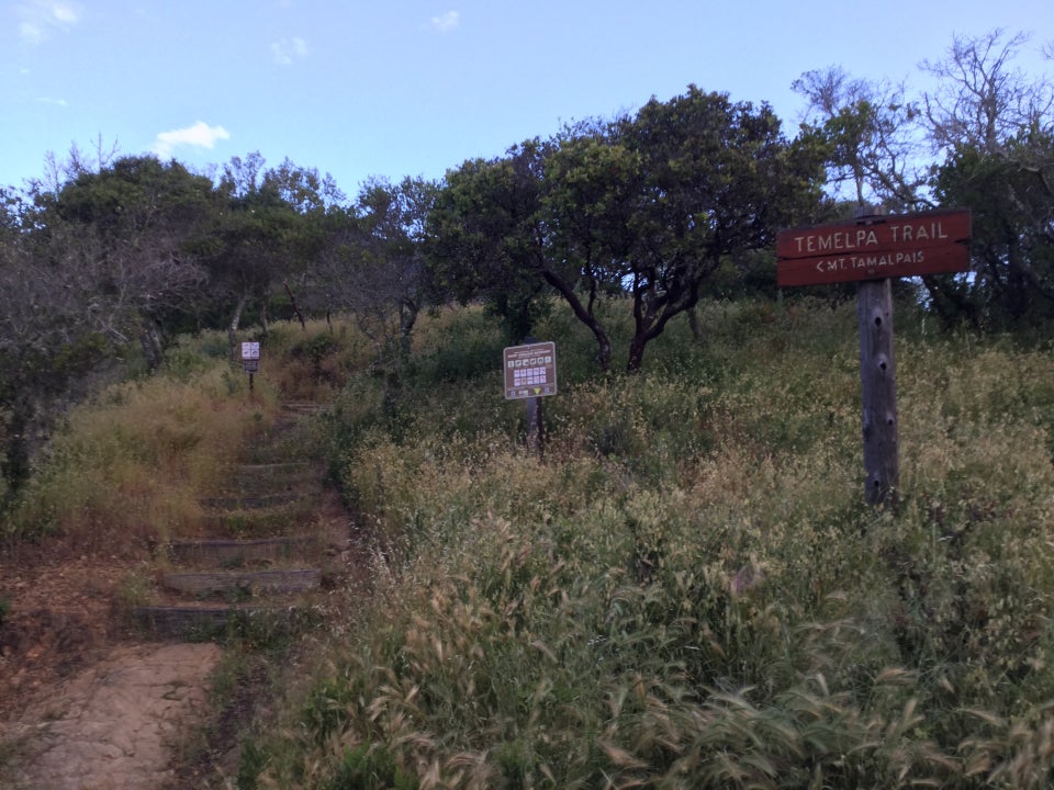 Temelpa trailhead, trees and grass a mix of green and dull yellow