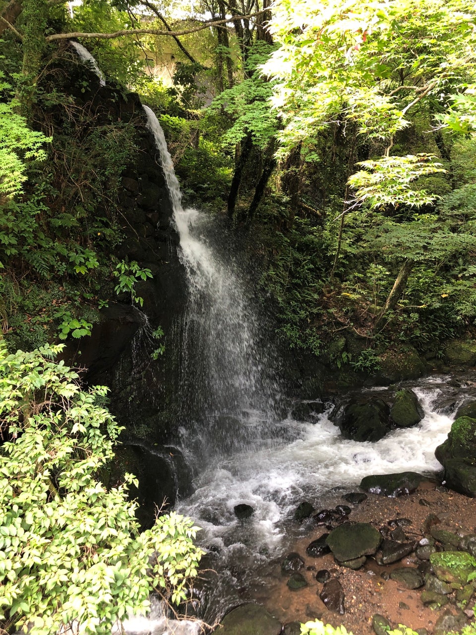 お疲れ都民の 駆け込み寺 湯河原温泉でパワースポットめぐりの旅 神奈川 湯河原の旅行モデルコース こころから お疲れ都民の 駆け込み寺 湯河原温泉でパワースポットめぐりの旅 神奈川 湯河原の旅行モデルコース こころから